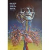 Hans Erni. Rettet die Luft. Sauvez l'air. 1985.
